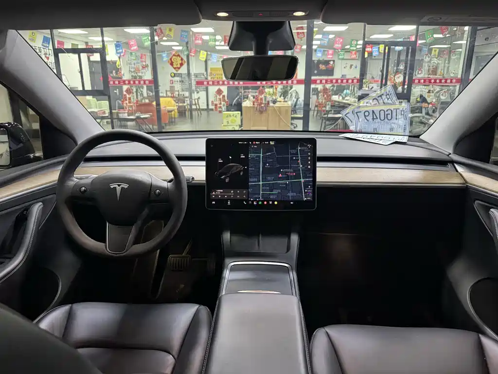 Tesla Model Y — миниатюра 10