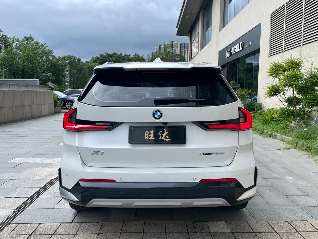 BMW X1 2023 xDrive25Li X
