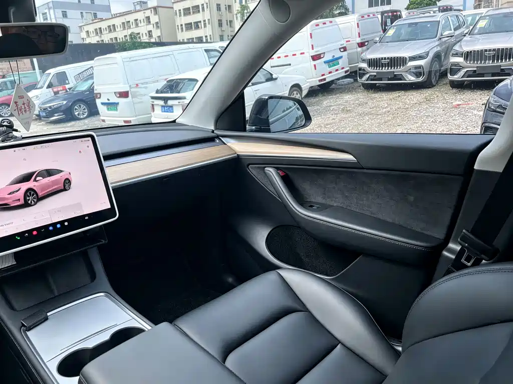Tesla Model Y — миниатюра 12