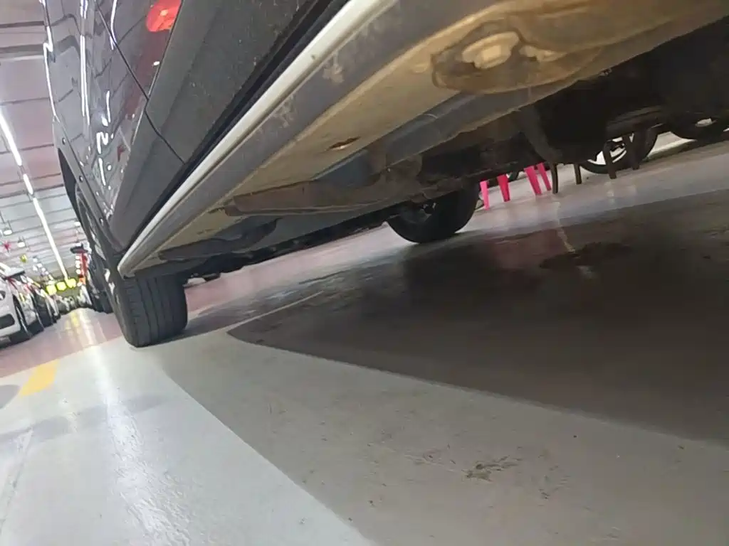 Haval Big Dog — миниатюра 22