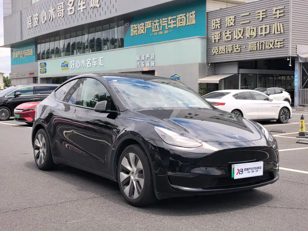 Tesla Model Y — миниатюра 3