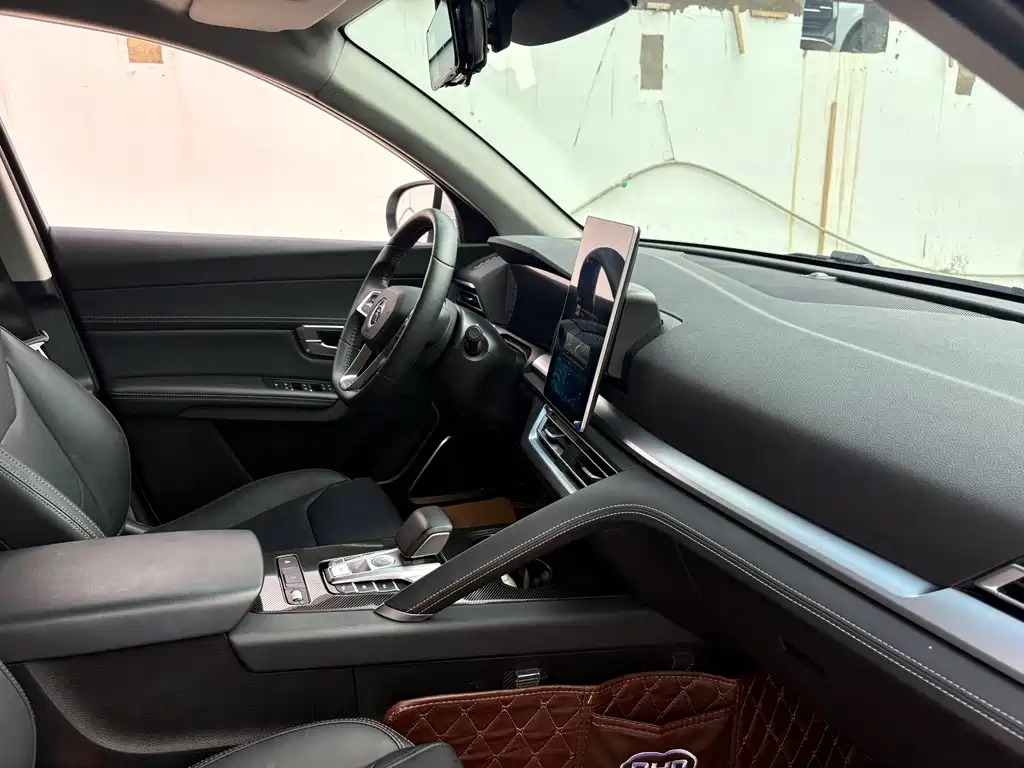 BYD Pro — миниатюра 10