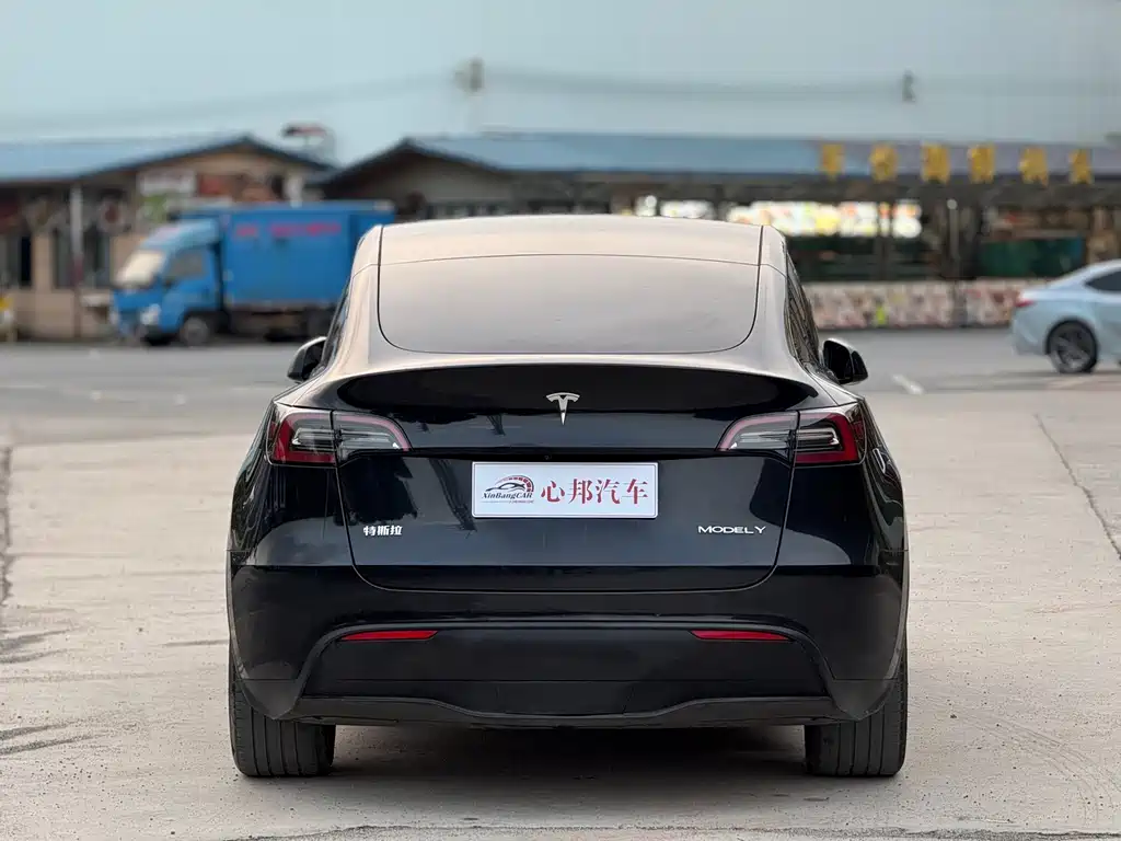 Tesla Model Y — миниатюра 18