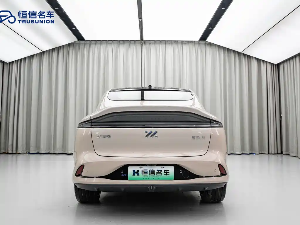 ZHIJI AUTOMOBILE ZHIJI LS6