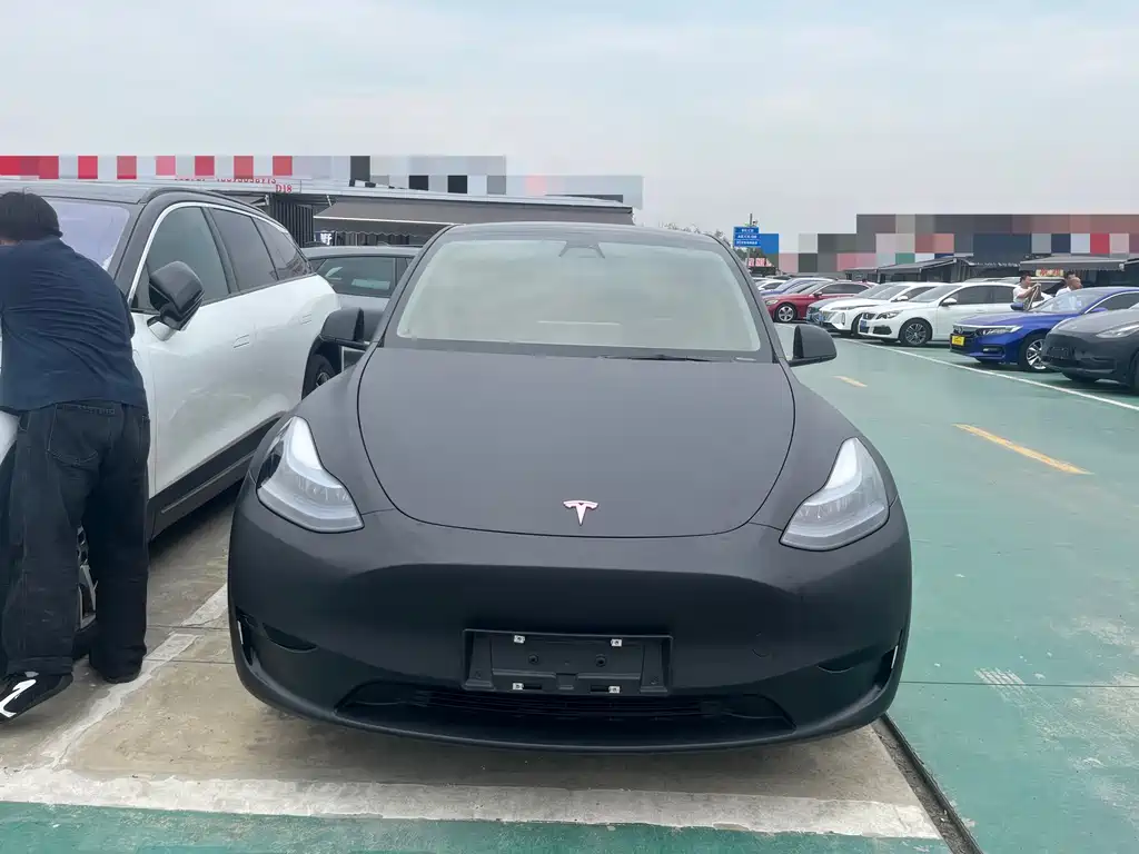 Tesla Model Y — миниатюра 2
