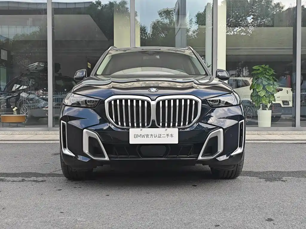 BMW X5 — миниатюра 3