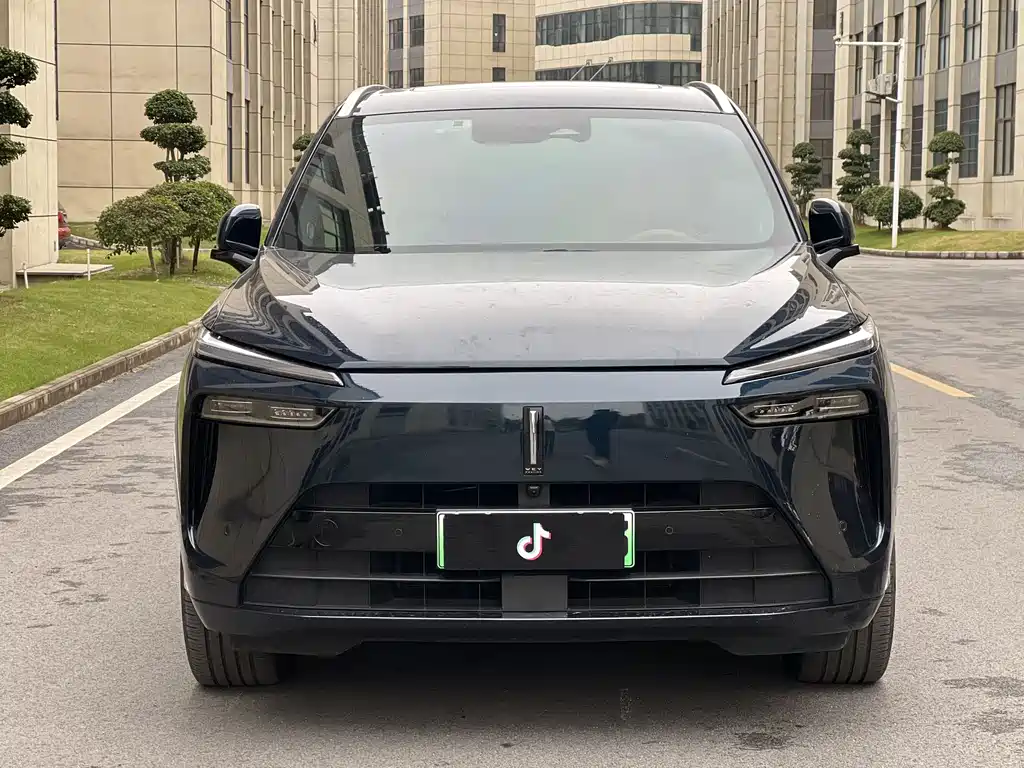 WEI PAI WEI BRAND BLUE MOUNTAIN