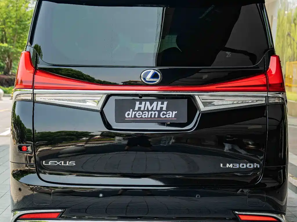 Lexus LM 2020 300h мест