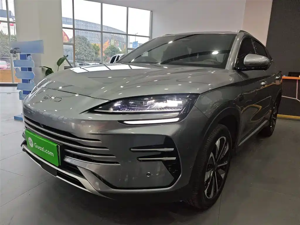 BYD PLUS New Energy 2025