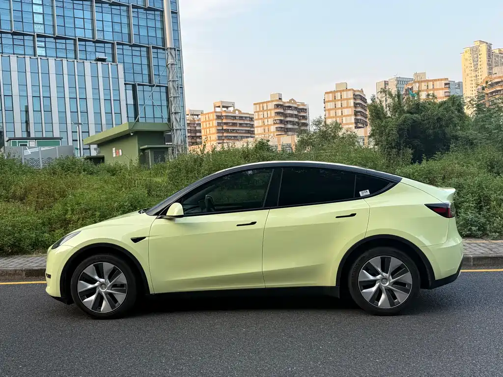 Tesla Model Y — миниатюра 14