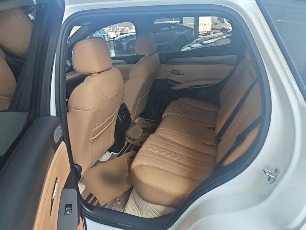 BYD L DM-i — миниатюра 17