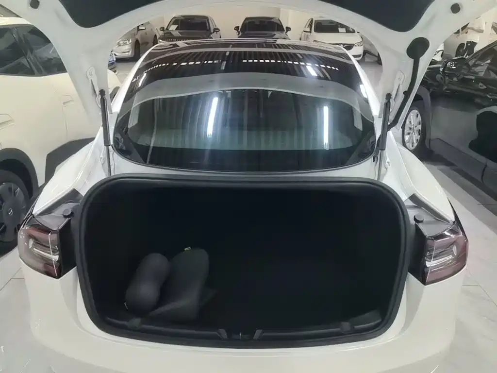Tesla Model 3 — миниатюра 19