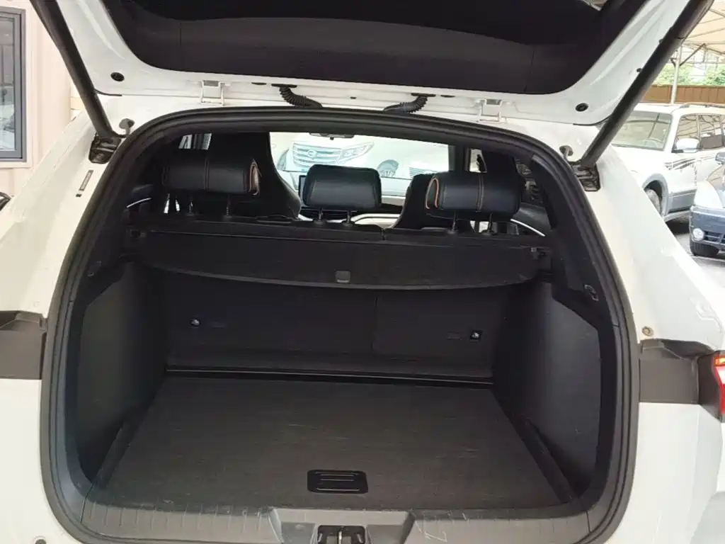 BYD PLUS New Energy — миниатюра 19