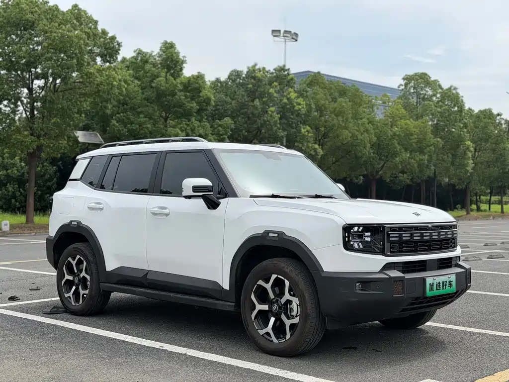 Shanhai Shanhai T1 — миниатюра 2