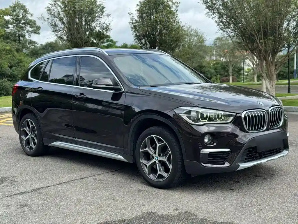 BMW X1 — миниатюра 4