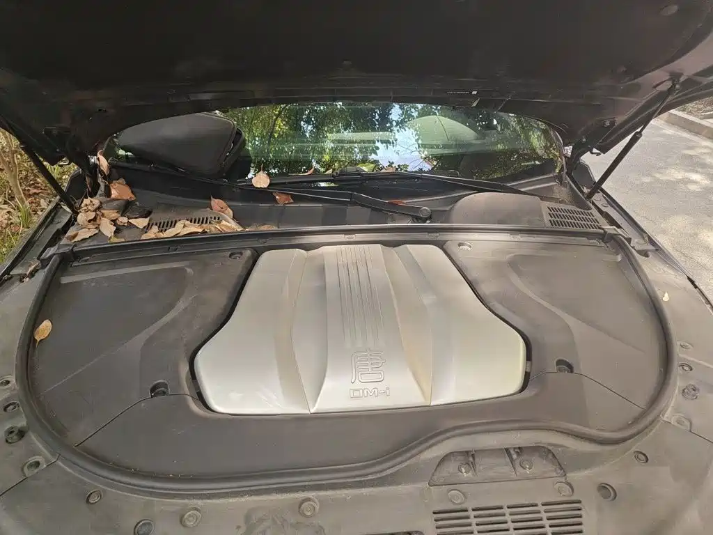 BYD Tang New Energy — миниатюра 11