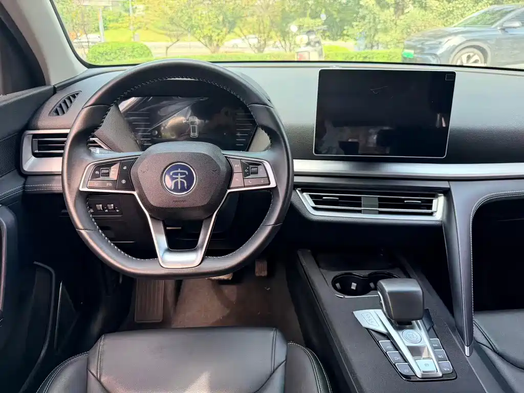 BYD Pro — миниатюра 15