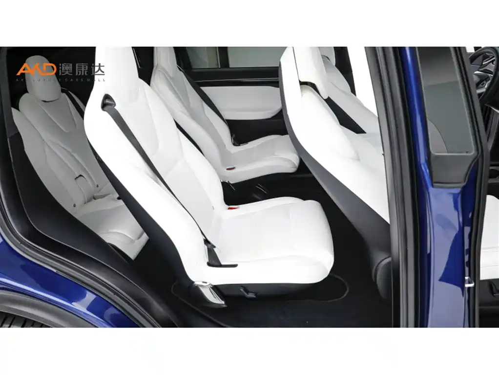 Tesla Model X — миниатюра 8