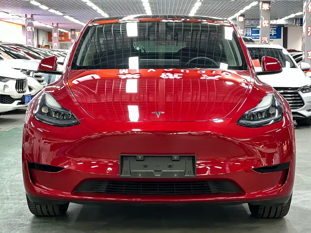 Tesla Model Y — миниатюра 2