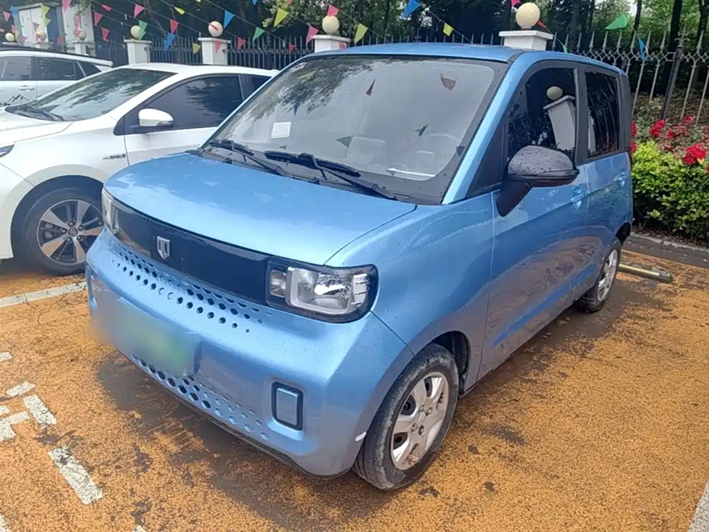 Bai Zhi Baizhi Big Bear 2022