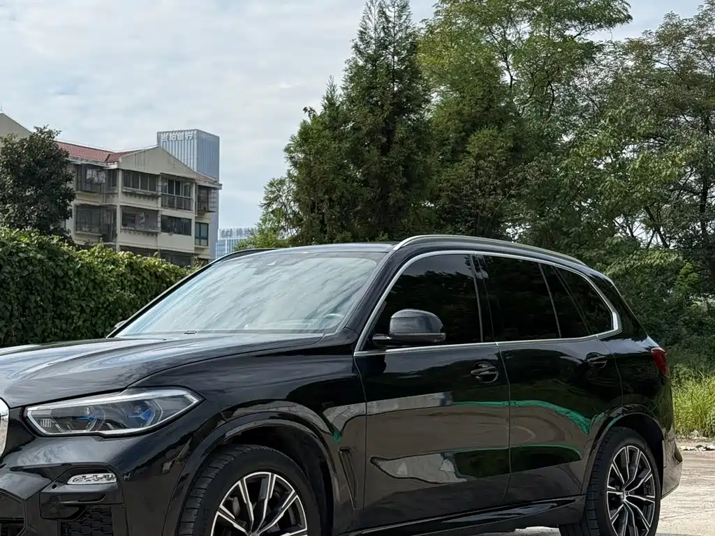 BMW X5 (Import) — миниатюра 3