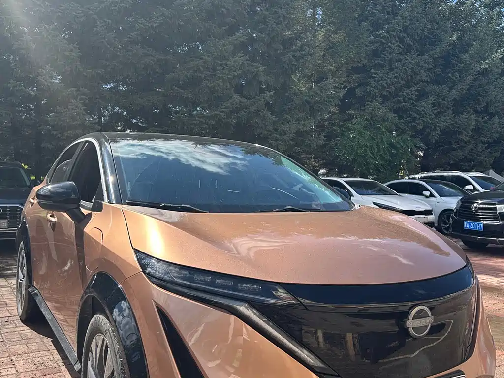 Nissan Ariya — миниатюра 3