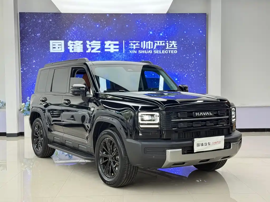 Haval Menglong New Energy — миниатюра 3