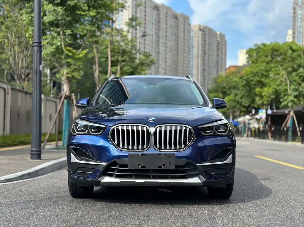 BMW X1 — миниатюра 2