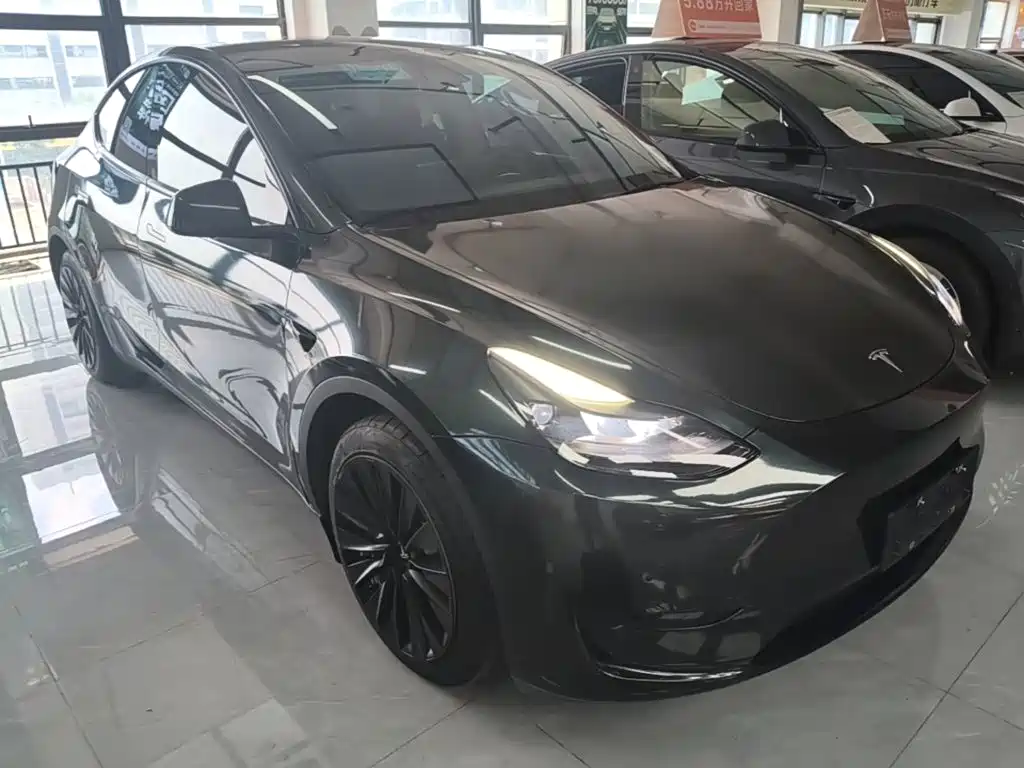 Tesla Model Y — миниатюра 4