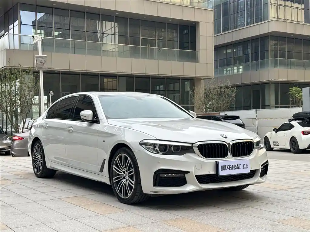 BMW 5 SERIES