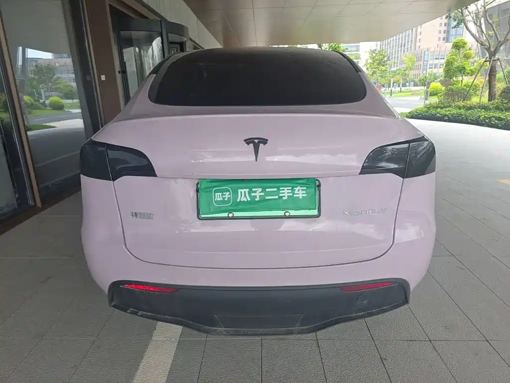 Tesla Model Y — миниатюра 6