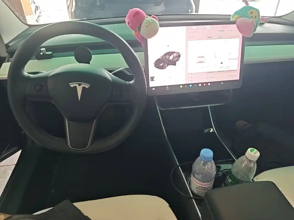 Tesla Model 3 — миниатюра 10