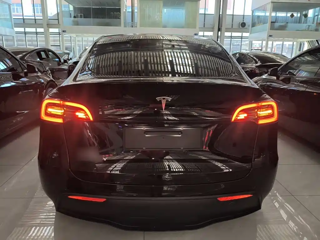 Tesla Model Y — миниатюра 6