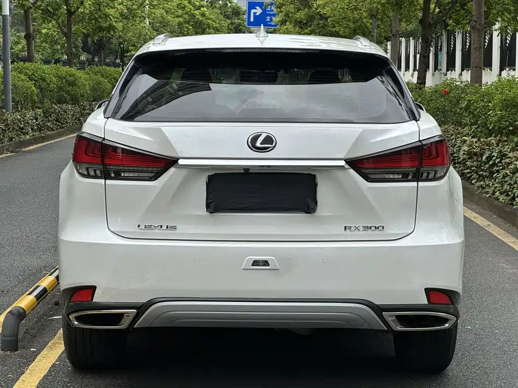 Lexus RX — миниатюра 8