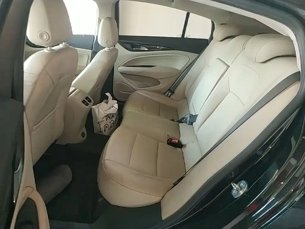 Buick Regal — миниатюра 17