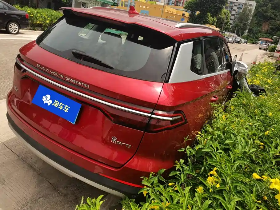 BYD Pro — миниатюра 3