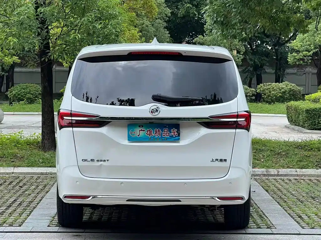 Buick GL8 — миниатюра 6