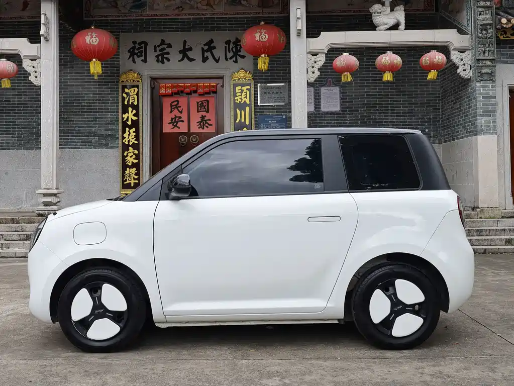 Qiyuan Lumin — миниатюра 10