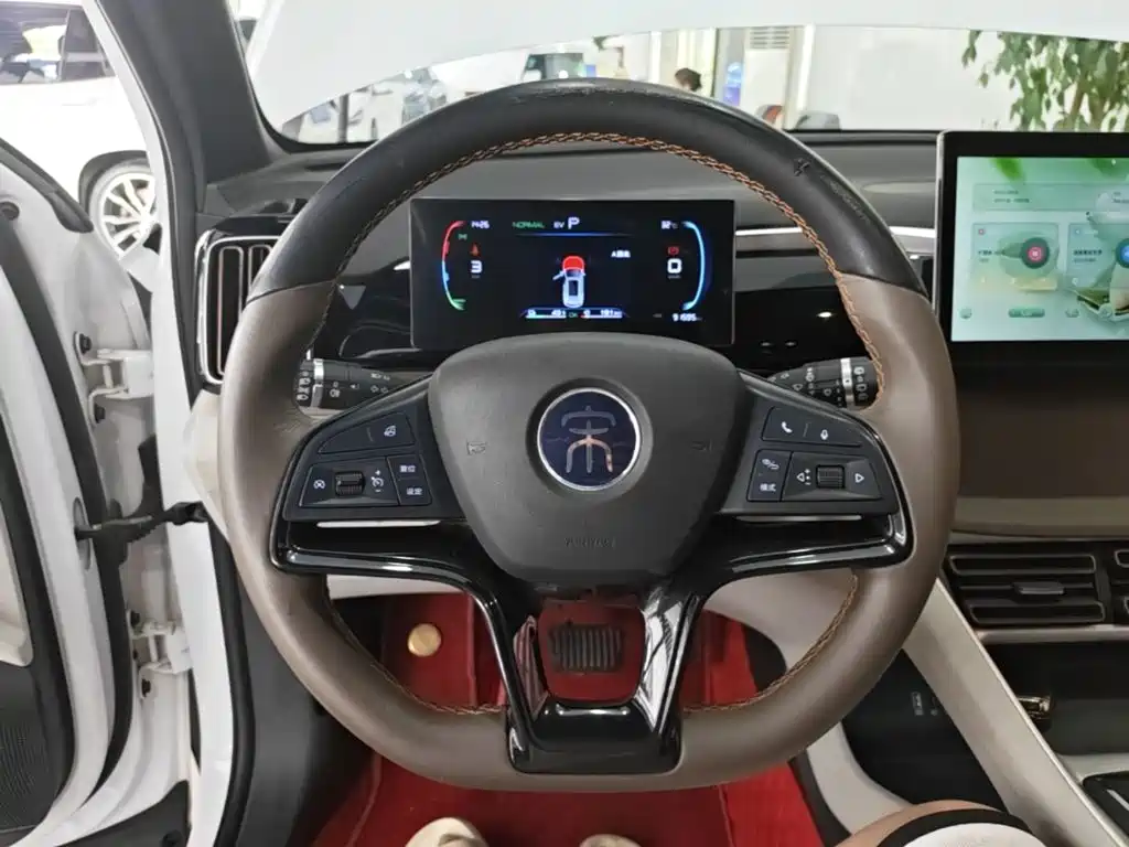 BYD Pro New Energy — миниатюра 11
