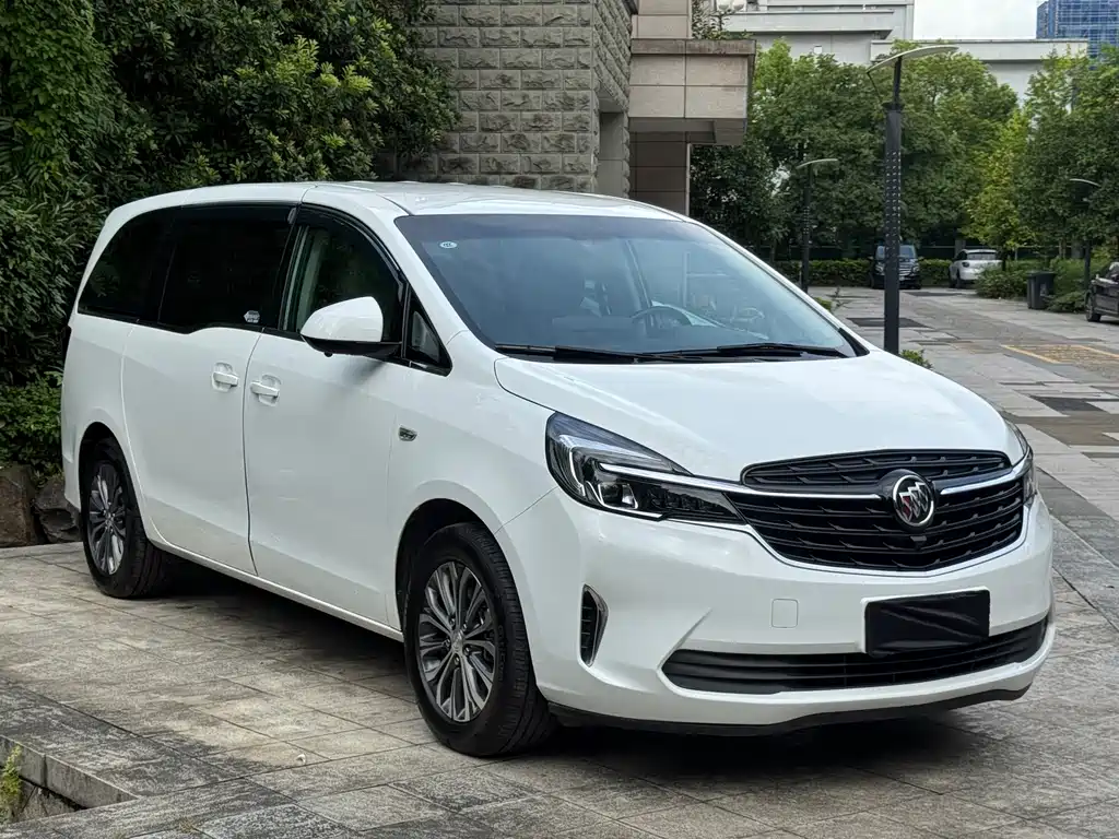 Buick GL8 — миниатюра 3
