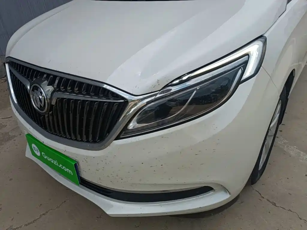 Buick GL8 — миниатюра 24
