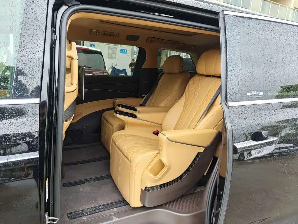 Denza Denza D9 — миниатюра 7