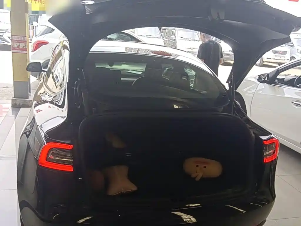 Tesla Model 3 — миниатюра 19