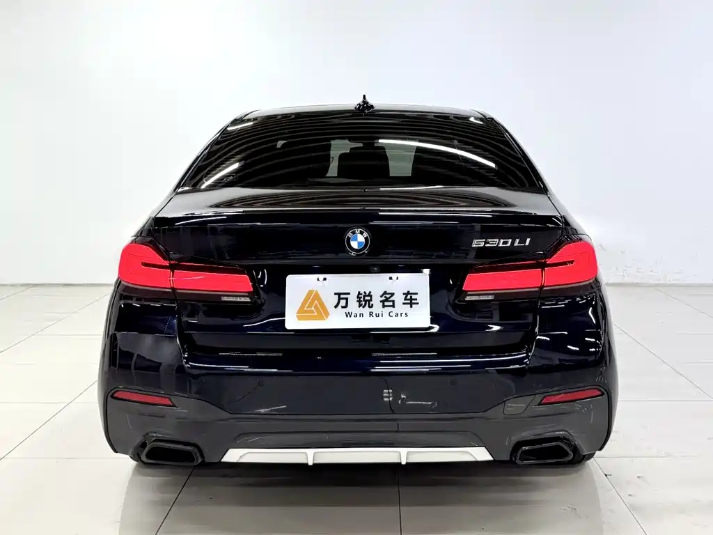 BMW 5 Series — миниатюра 4