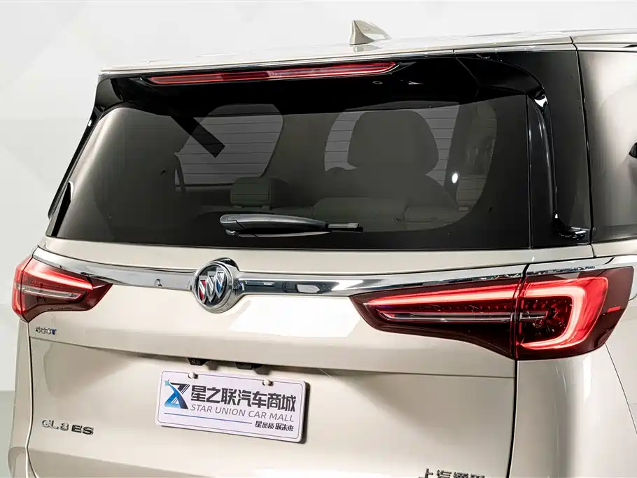 Buick GL8 — миниатюра 8