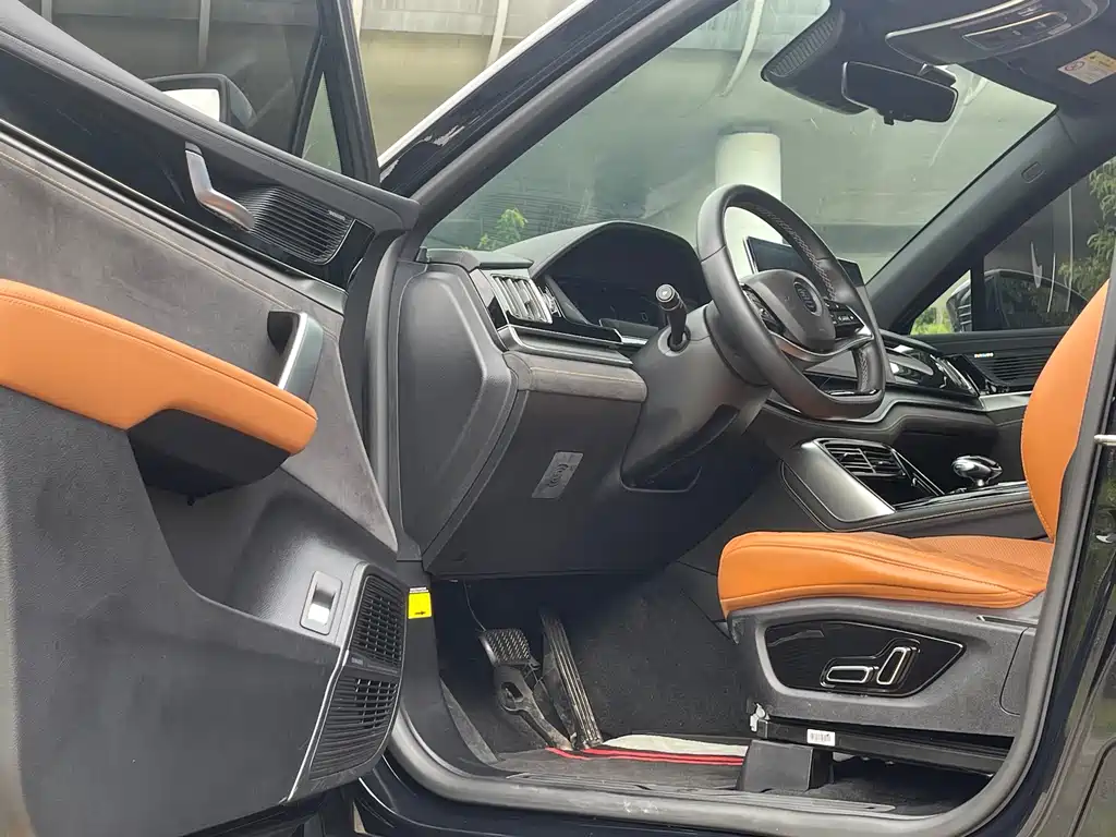 BYD Tang New Energy — миниатюра 13