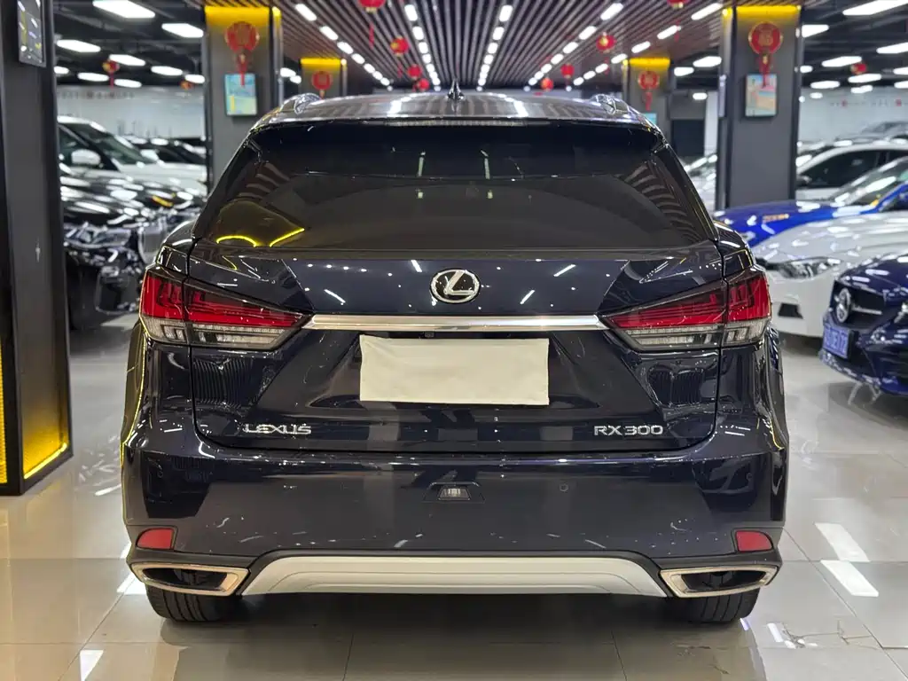Lexus RX 2020 300 Elegant VI