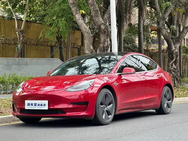 TESLA MODEL 3 2020
