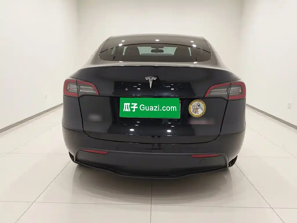 Tesla Model Y — миниатюра 5