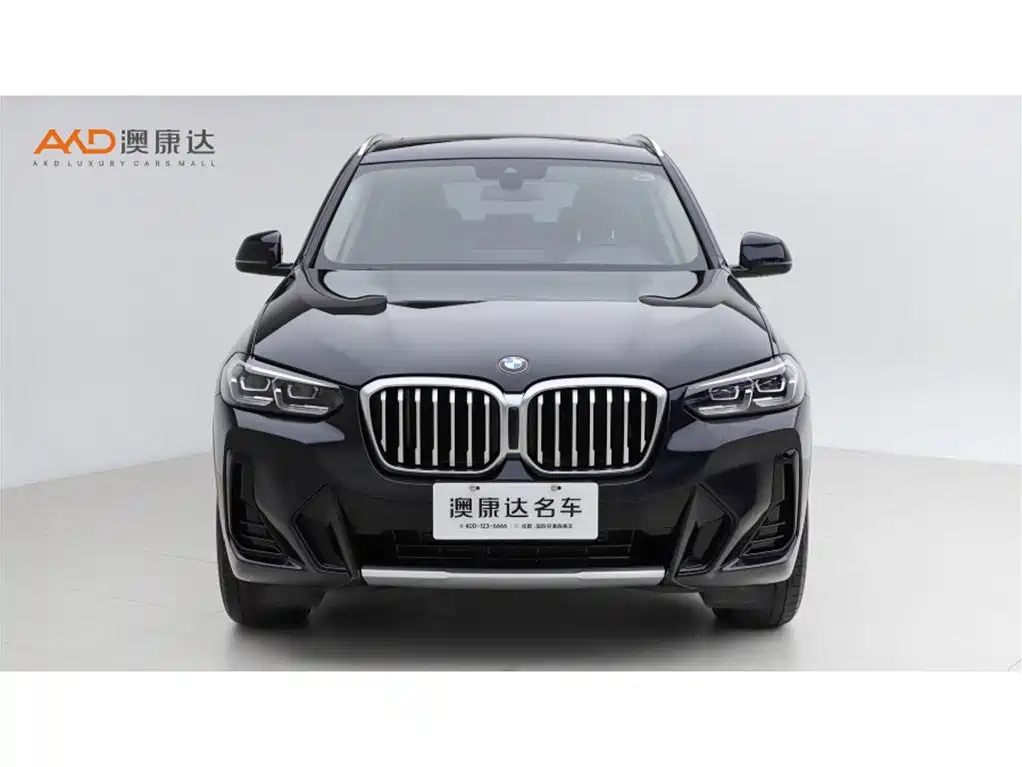 BMW X3 — миниатюра 2